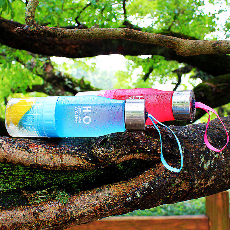 New Xmas Gift 650ml My Water Bottle plastic Fruit infusion bottle Infuser Drink Outdoor Sports Juice 3