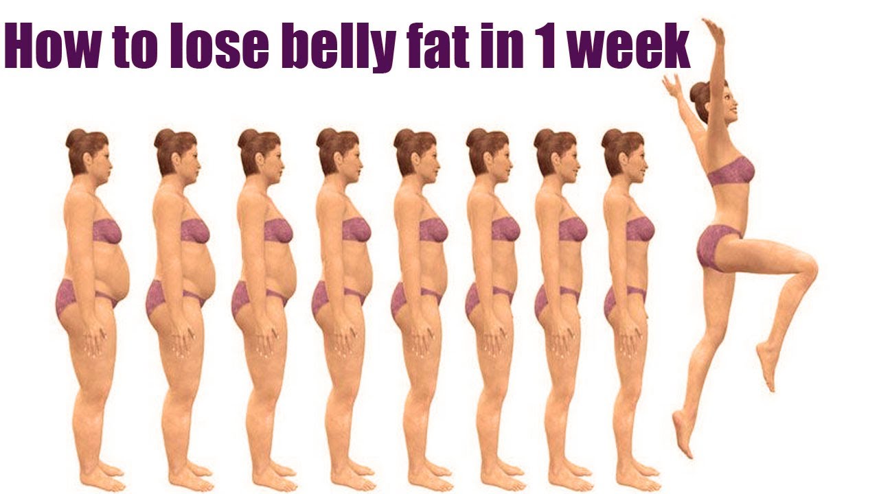 how to diet and lose belly fat